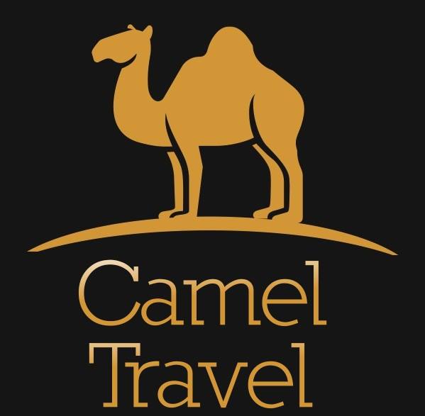 Przewozy osób i paczek Camel Travel
