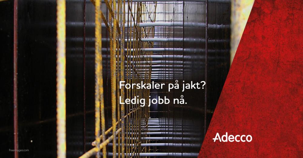 Cieśle szalunkowi - PEAB/Ålesund