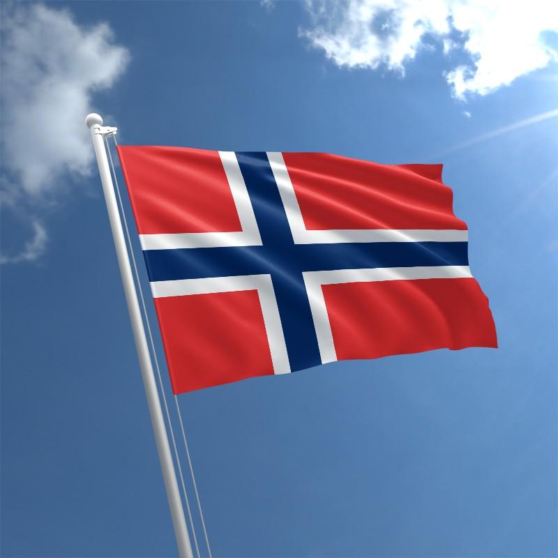Korepetycje z j. norweskiego