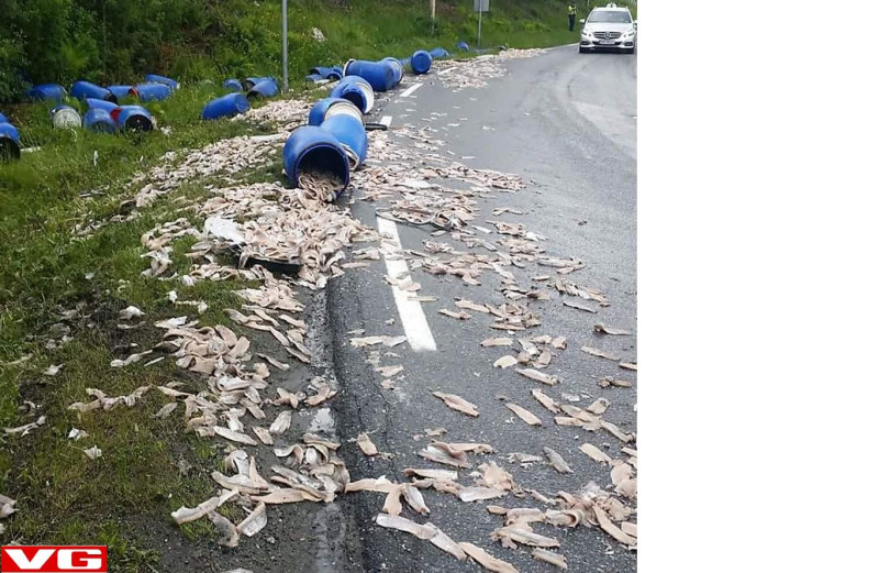 Na drodze znalazło się ok. 85 kg filetów śledziowych