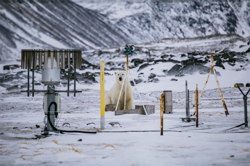 Polska ma na Svalbardzie 5 stacji polarnych, między innymi w Hornsund.