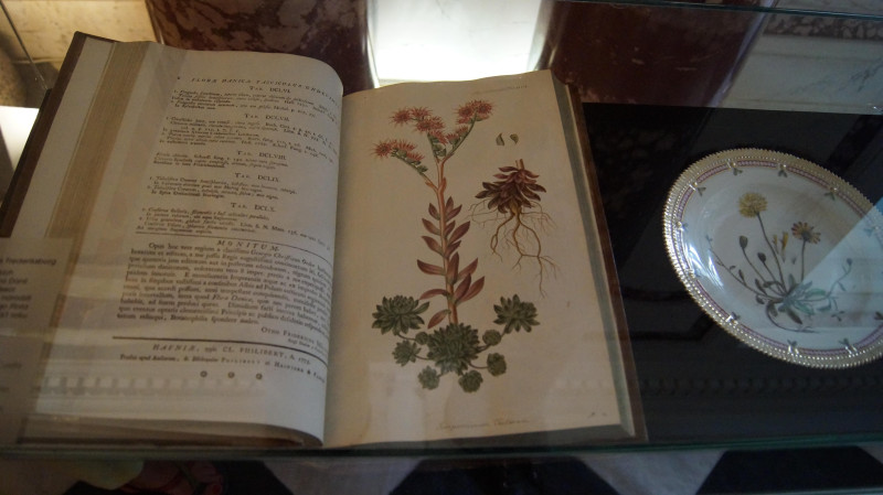 Jeden z tomów albumu Flora Danica i talerz zdobiony motywami roślinnymi