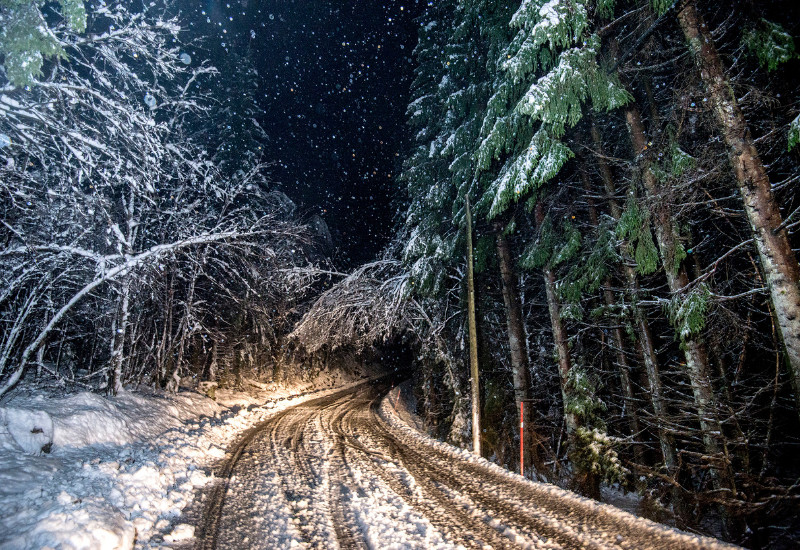 Wiele dróg zostało zamkniętych z powodu zalegających na jezdni drzew, zasp śnieżnych i ograniczonej widoczności.