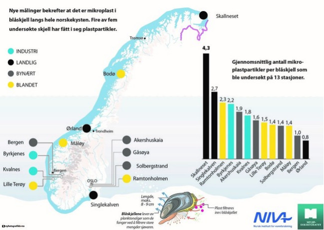 Grafika obrazująca badania przeprowadzone wzdłuż wybrzeża. W Finnmarku woda jest najbardziej zanieczyszczona plastikiem.