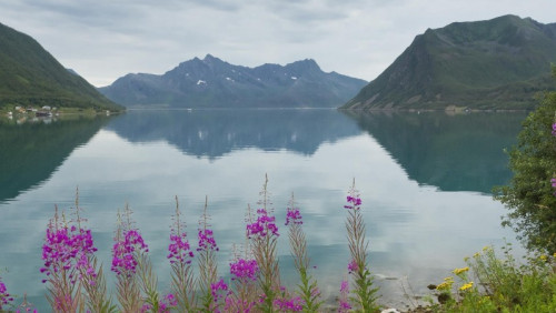 Norwegia w miniaturze: wyspa Senja mniej zatłoczona od Lofotów, ale równie piękna