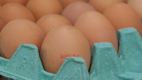 Norweski sanepid bierze pod lupę sklepowe półki. Mogły na nie trafić skażone jajka z Holandii