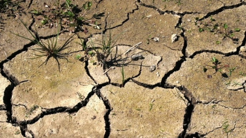 Naukowcy ostrzegają: tropikalne upały mogą stać się nową letnią normą