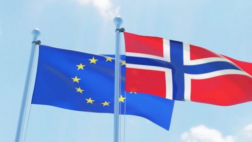 Wybory do Europarlamentu 2019: jak głosować w Norwegii