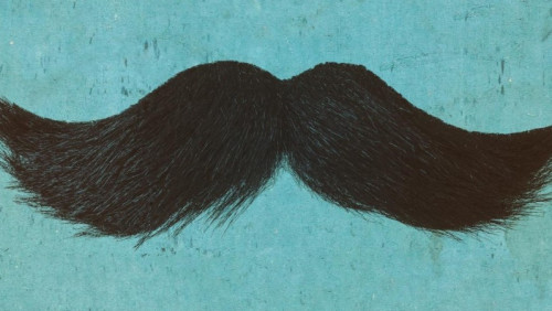 Oslo goli wąsy – dziś kończy się akcja Movember. O co w niej chodziło?