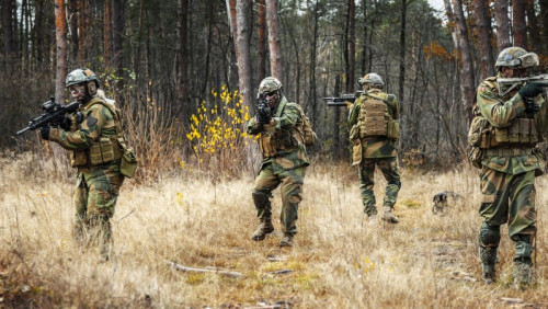 Będzie głośno: 12 dni ćwiczeń wojskowych w Troms