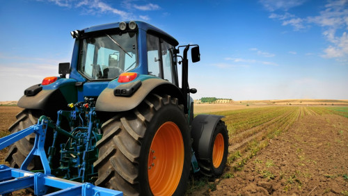 Minister rolnictwa rozwiewa nadzieje producentów warzyw: większych dotacji na prąd w branży nie będzie
