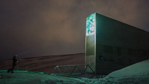 Na Svalbardzie powstała Biblioteka Końca Świata. Na wypadek kataklizmu