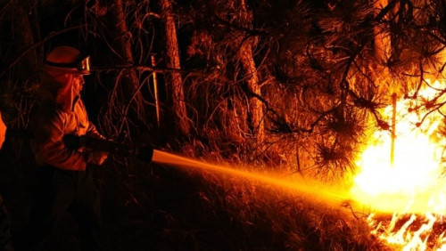 Płoną lasy w zachodniej Norwegii. Strażacy: „Sytuacja jest krytyczna”