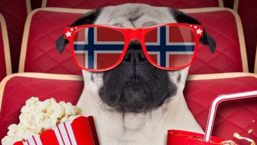 Seans dla psów? W Norwegii to możliwe – stołeczne kino zaprasza je na film