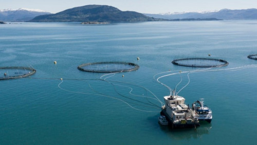 Pierwsza na świecie farma łososi zasilana prądem powstała w Norwegii