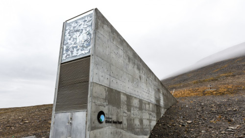 Do lodowego skarbca na Svalbardzie dołączy muzyka. W „arktycznym bunkrze” ma przetrwać 1000 lat