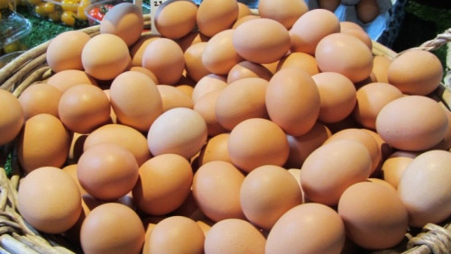 Norwegowie alarmują: salmonella w jajkach z Polski