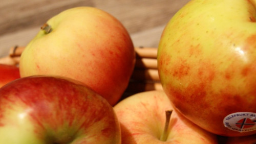 Słodkie, kwaśne, soczyste - wielki test norweskich jabłek