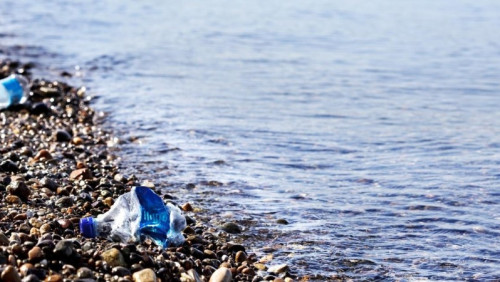 Nowy pomysł na ekologię: zapłacą 100 koron za każdy zebrany worek plastikowych śmieci