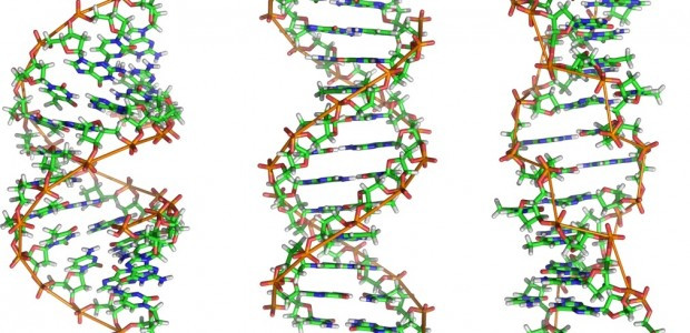 4 na 10 Norwegów godzi się na testy DNA