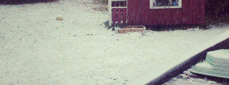 Pierwszy śnieg zasypał okolice Oslo [Aktualizacja: zdjęcia użytkowników]