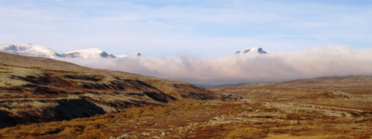 Okolice Dovrefjell dla entuzjastów przyrody
