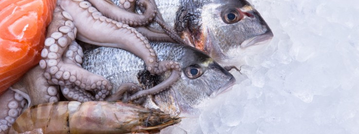 Przemysł rybny przyszłością Norwegii