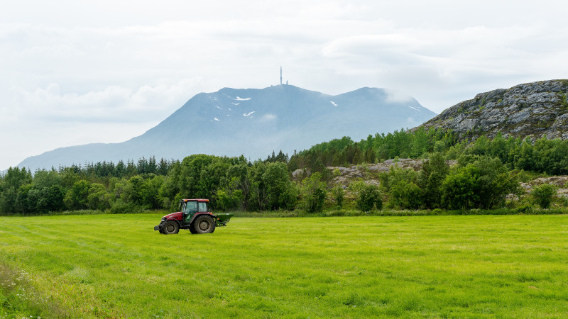 Ceny norweskich produktów rolnych wzrosły o 7,6 procent od czerwca do lipca, podczas gdy importowanych o 6,3 procent.