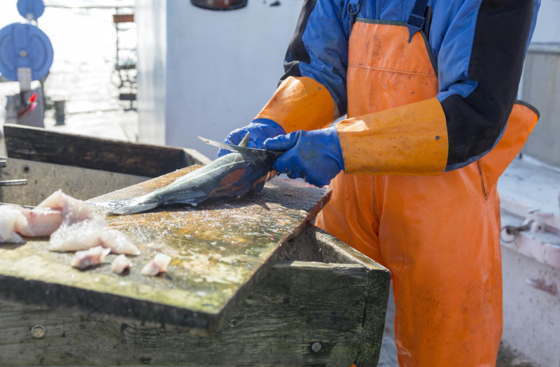 Jednocześnie marzec 2022 okazał się najlepszym pojedynczym miesiącem w historii norweskiego eksportu ryb pod względem jego wartości.
